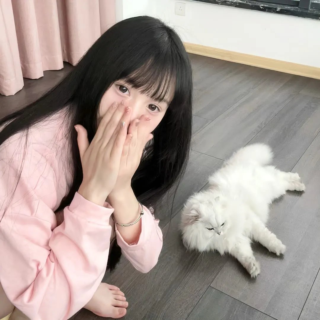 乐高史酷比：闹鬼的好莱坞
